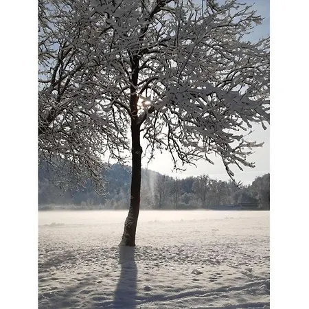 Holiday Renate Rottenburg am Neckar