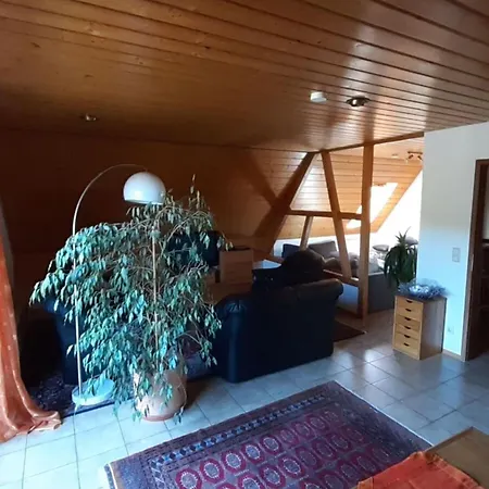 Holiday Renate Apartment Rottenburg am Neckar